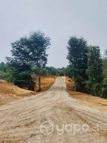 Terreno de 5.000 - Imagen 5