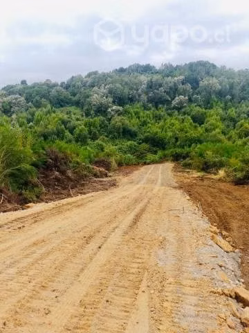 Terreno de 5.000 - Imagen 2