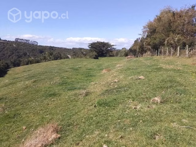 Se vende hectárea de terreno