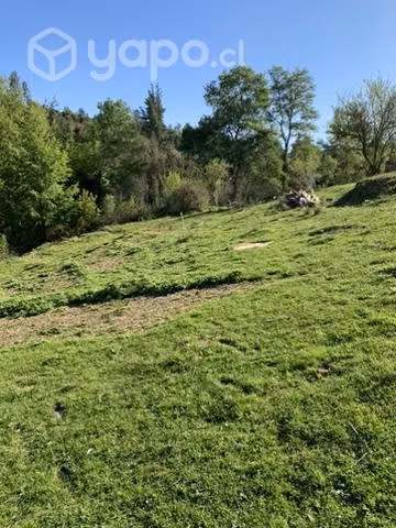 Parcela de agrado - Imagen 2