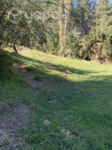 Parcela de agrado - Imagen 7