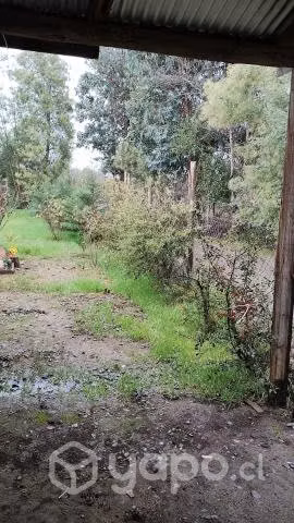 Vendo terreno con casa - Imagen 4