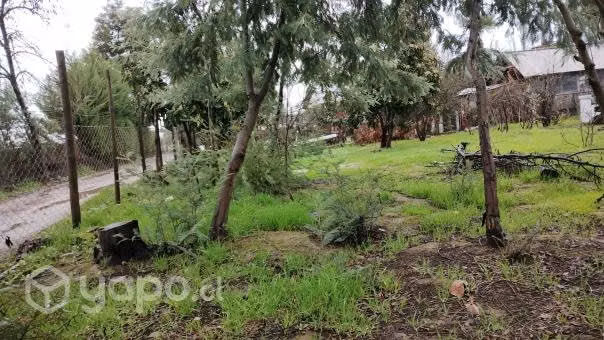 Vendo terreno con casa - Imagen 6