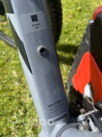 Marlin 6 2020
