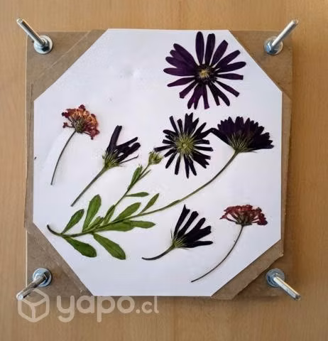 Prensa para flores y botánica - Imagen 4