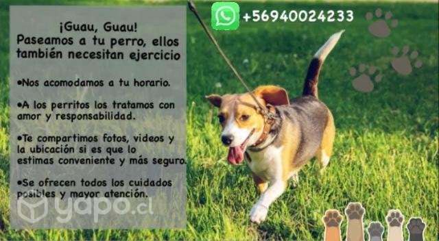 Paseo de Perros