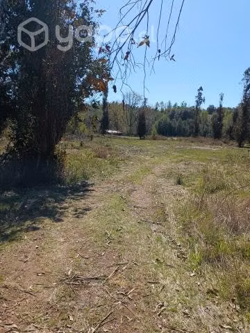 Se vende parcela 5000 m2