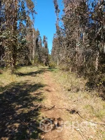 Se vende parcela 5000 m2