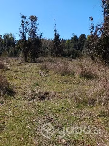 Se vende parcela 5000 m2