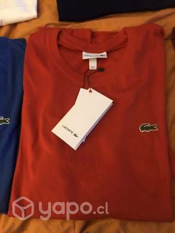 Poleras todos los colores y tallas de calidad