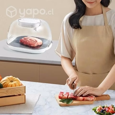Máquina De Descongelación Rápida De Alimentos