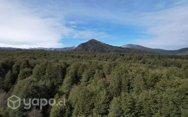 Servicios con Drones y Estacion Total
