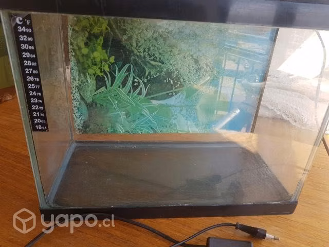Acuario completo