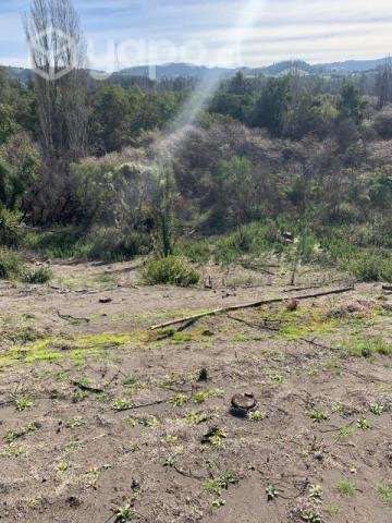 6.40 hec Rio Claro Yumbel - Imagen 8