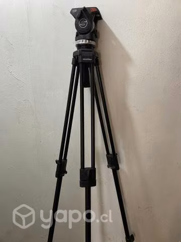 Tripode sácheler ace M