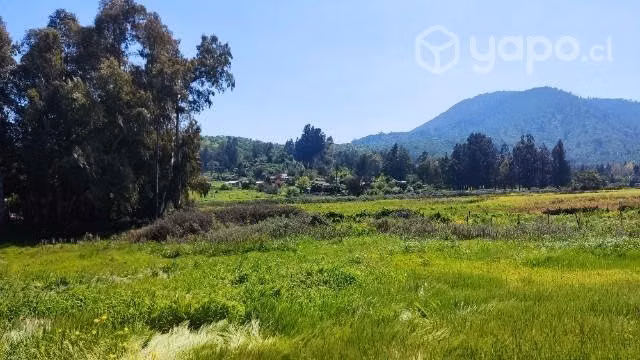 Parcela de 5000mts2 en Culipran