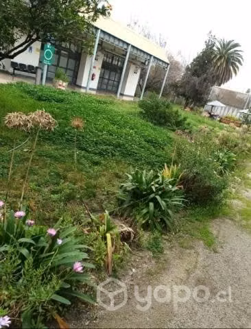 Jardinería