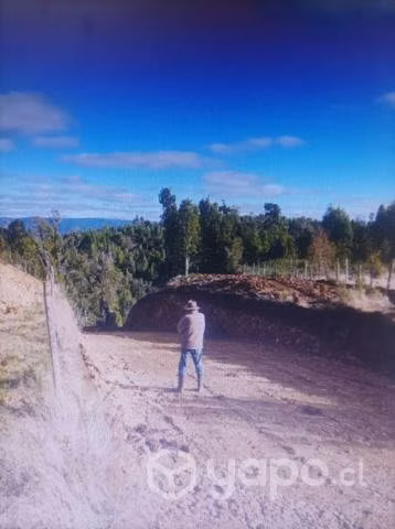 19 Parcelas de Agrado