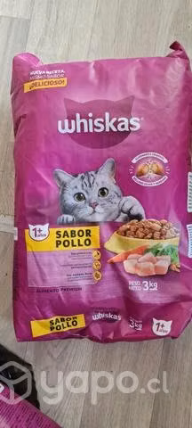 Alimento para gatos