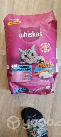 Alimento para gatos - Imagen 2