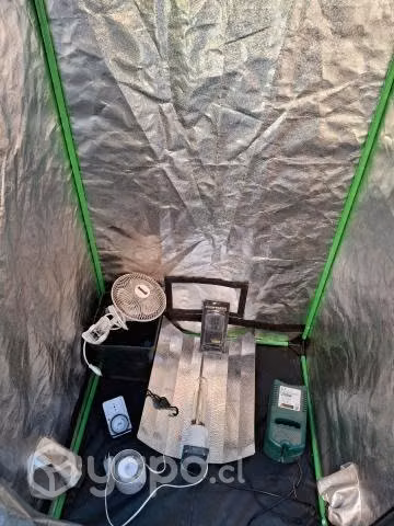 Carpa Indoor - Imagen 3