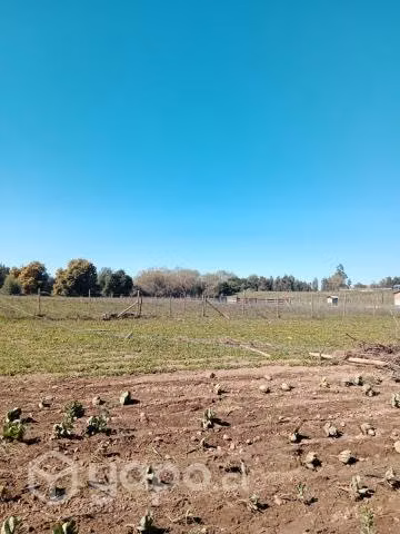 Terreno San clemente - Imagen 3