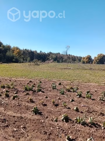 Terreno San clemente - Imagen 4