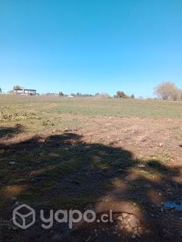 Terreno San clemente