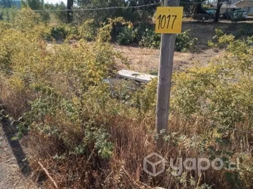 Se vende terreno de 5000 mt2 - Imagen 3