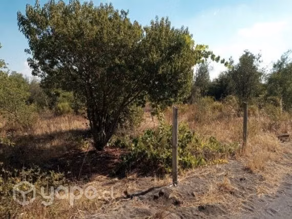 Se vende terreno de 5000 mt2