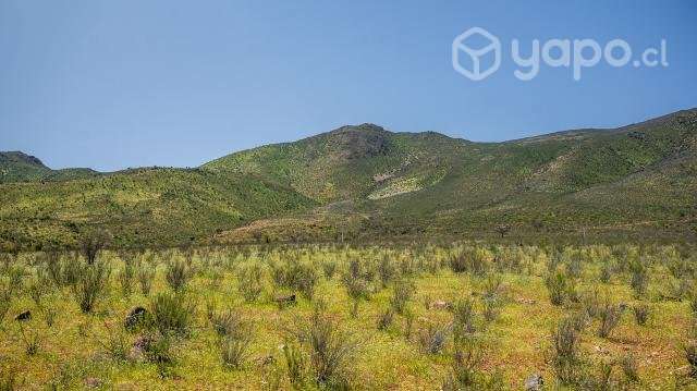 Terreno - Imagen 5