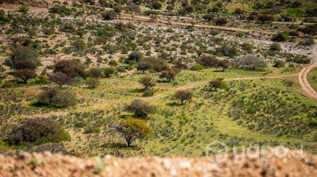 Terreno - Imagen 8