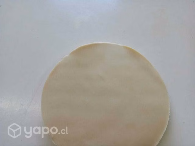 ¡Promoción Imperdible de Discos para Empanada