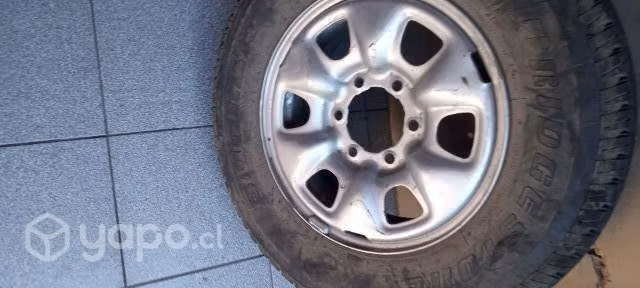 Neumaticos camioneta