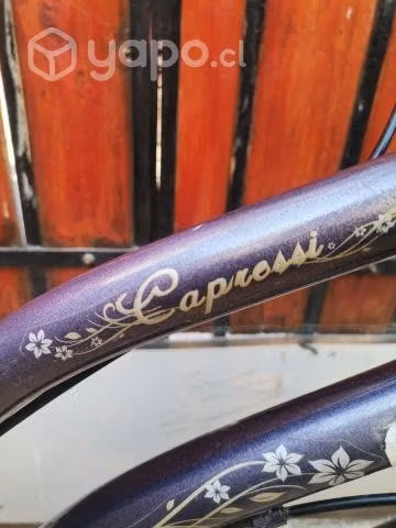 Bicicleta - Imagen 5