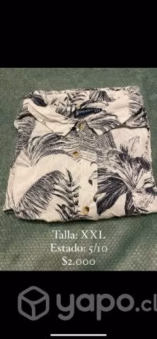 Camisas