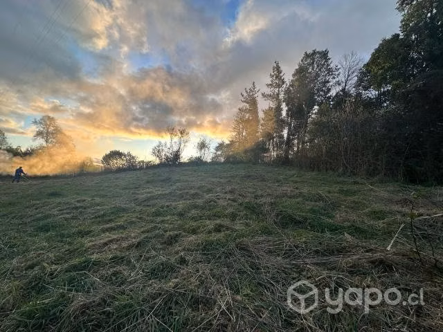 Sitio 1000 m2 - comuna de Panguipulli