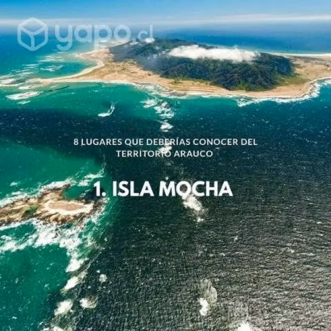 Se vende terrenos en Isla Mocha