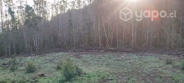 Terreno en Afquintúe