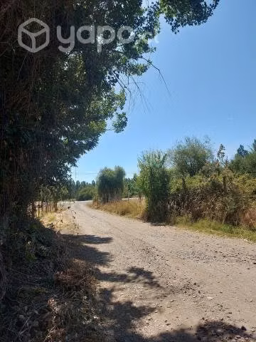 Terreno sector yumbel