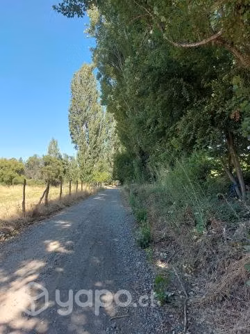 Terreno sector yumbel - Imagen 2