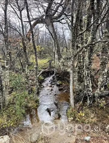 Parcela en la patagonia