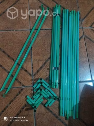 Indoor Carpa