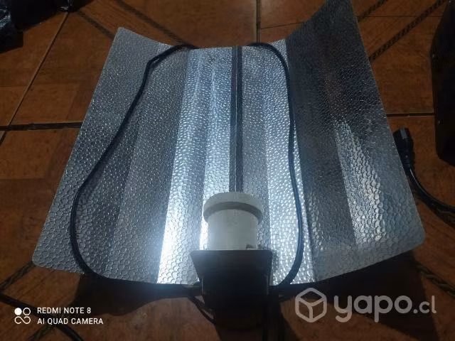 Indoor Carpa