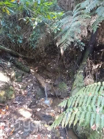 Terreno rol propio