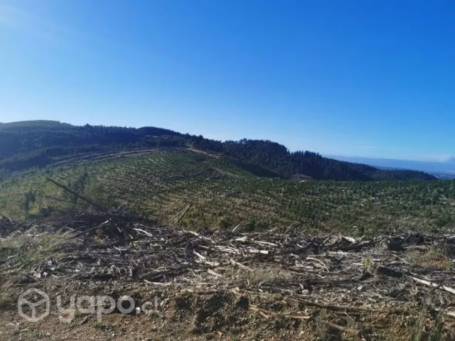 Campo de 30 hectáreas