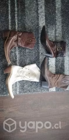 Zapatos, botas cortas