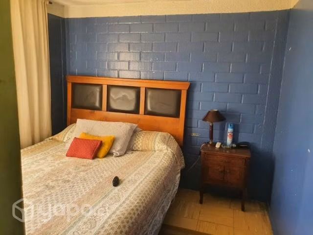 Departamento Paine