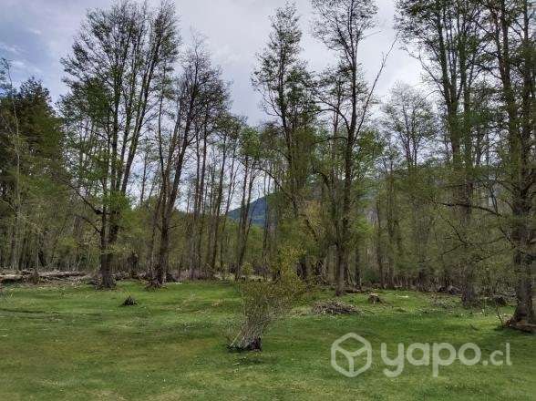 Lote 5000 m2 Bahía Murta - Imagen 12