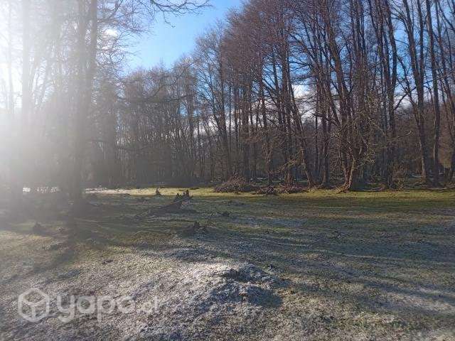 Lote 5000 m2 Bahía Murta - Imagen 10